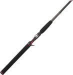 Casting Rod