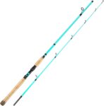 Inshore Saltwater Rods (Spinning & Lure Types)