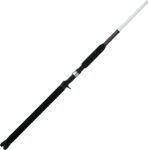 Dedicated Spinning Rod for Catfish
